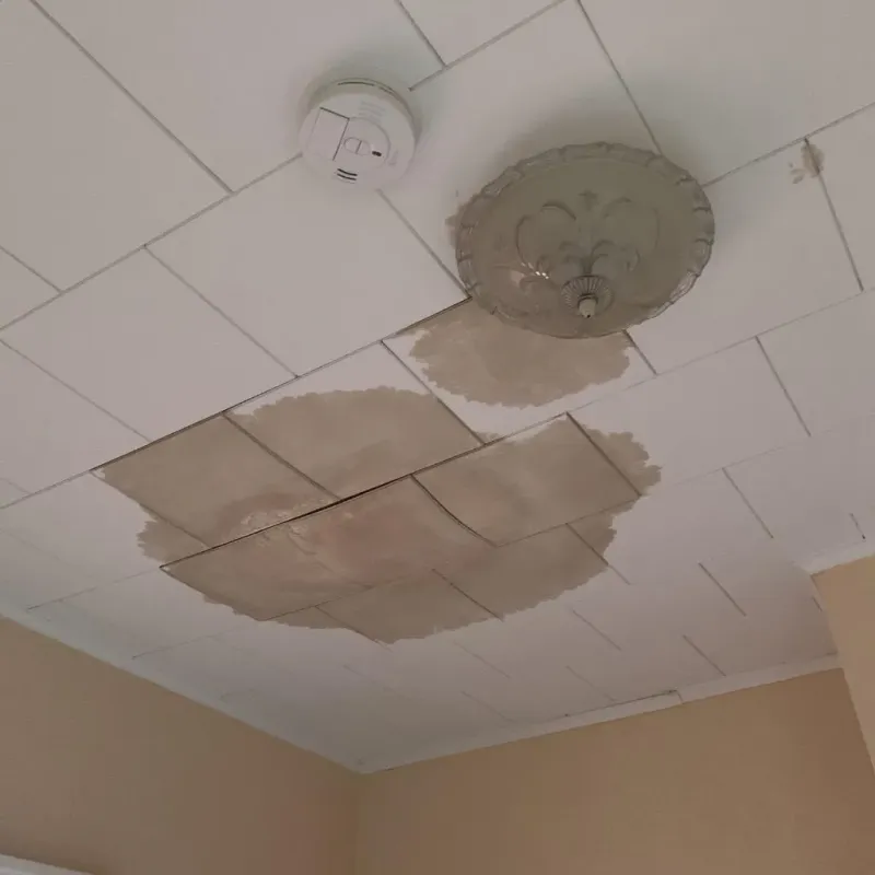 Ceiling Water Damage Repair in Tulalip Bay, WA