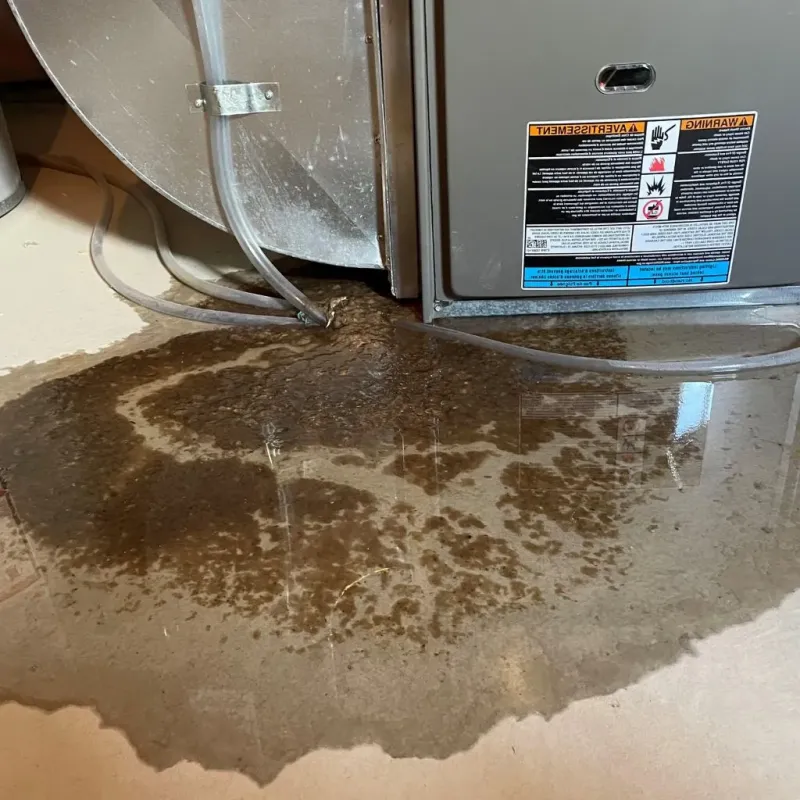 Pipe Burst and Leak Restoration in Tulalip Bay, WA